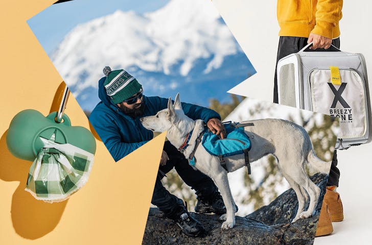 A collage of cat and dog travel products