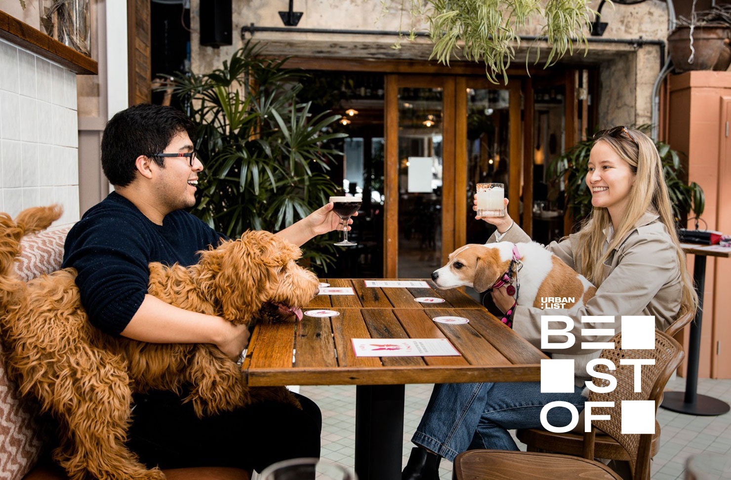 People at the Forrester's pub with their dogs - sydney's best dog-friendly pubs
