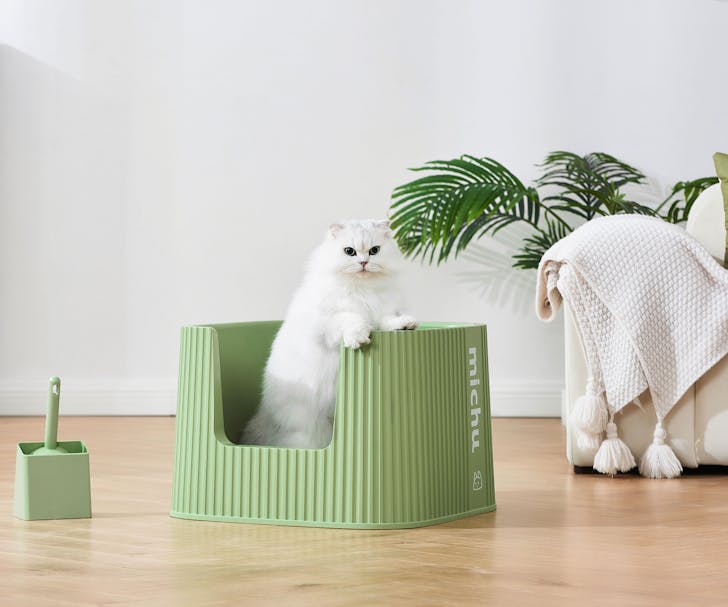 A white cat in a green Michu litter box, which is on sale for EOFY sales 2024