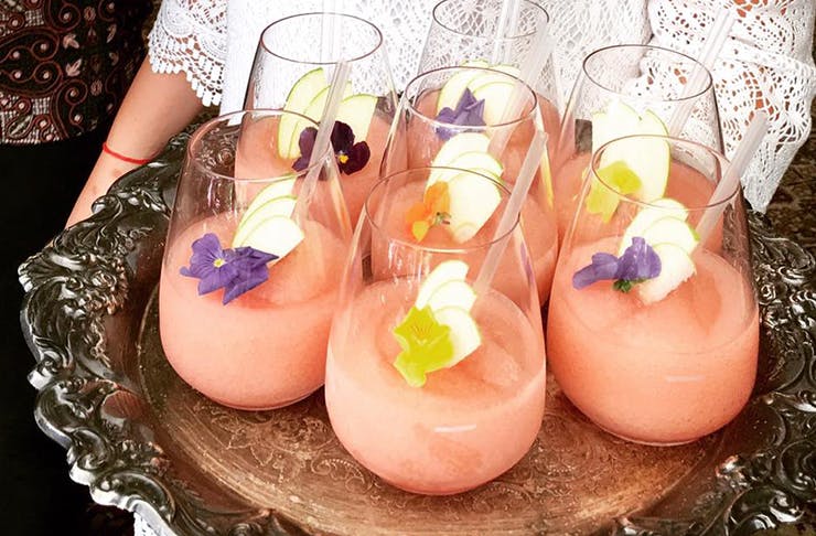 Where To Get Frozé In Auckland