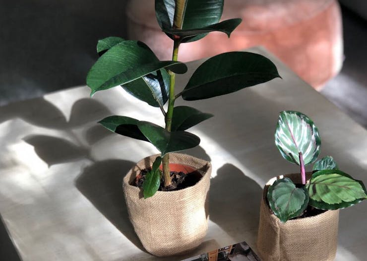 Show Someone You Care With The Best Gift Deliveries In Melbourne Urban List Melbourne