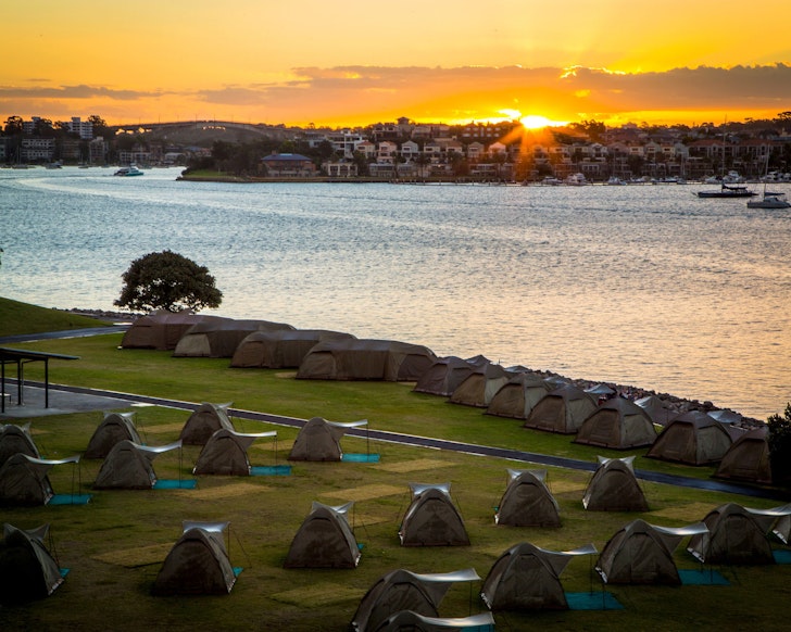 Glamping tents on the lawn at Cockatoo Island in Sydney