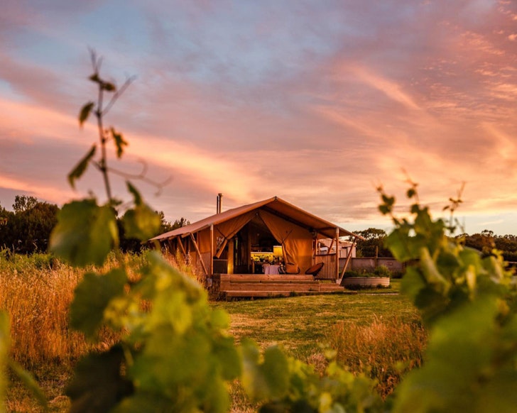 A glamping tent beside the vineyard at Nashdale Lane