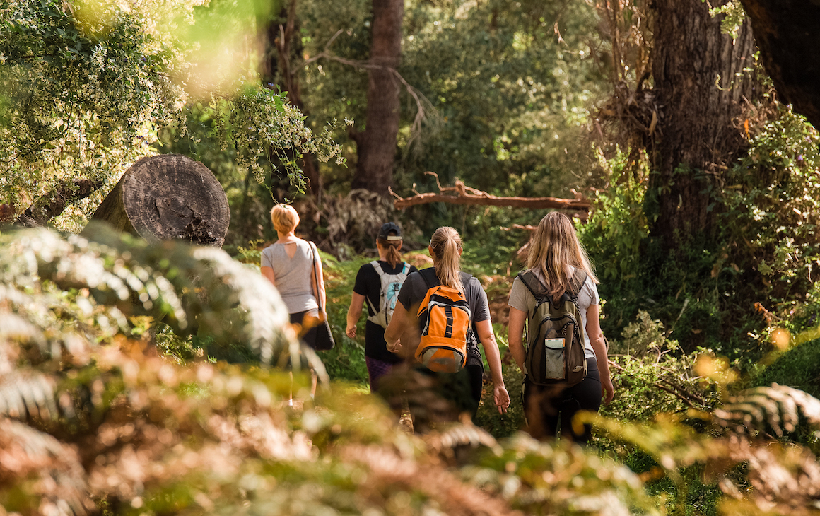 people hiking in lush bushland in Yanchep National Park