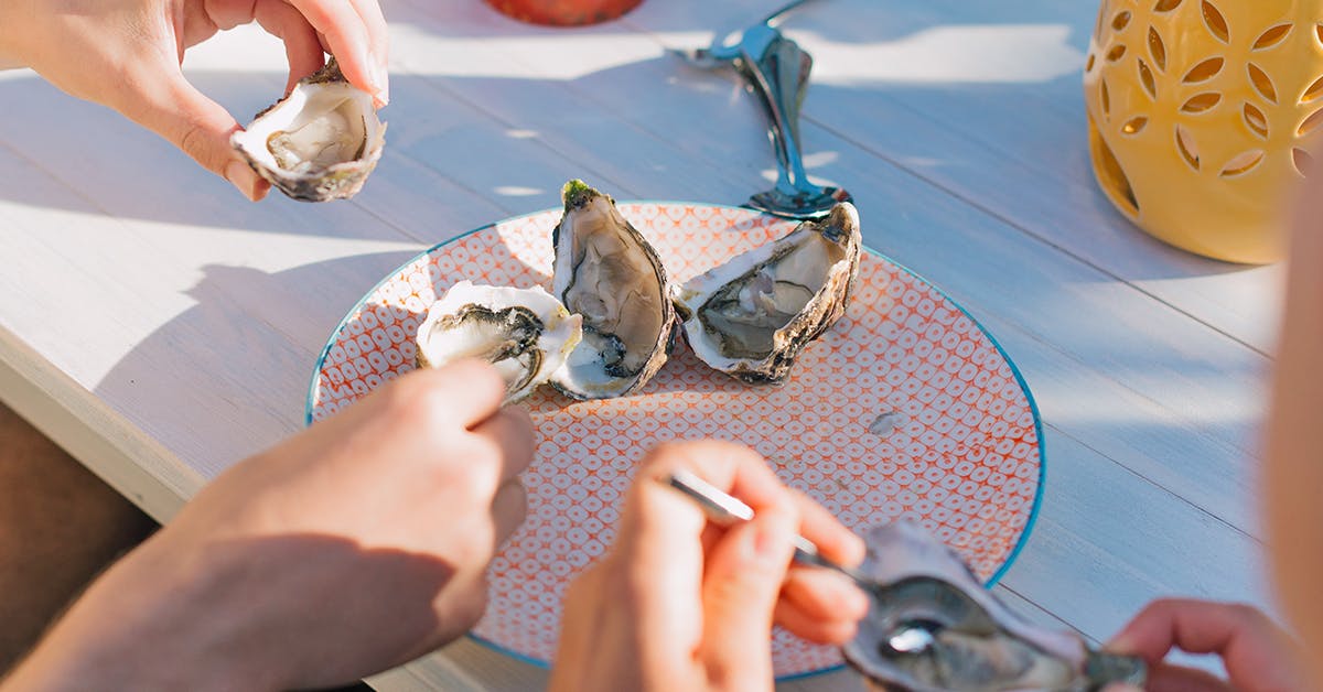 Best Oyster Delivery Services URBAN LIST MELBOURNE