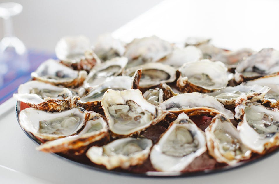 Get Shucked At 9 Of The Best Oyster Happy Hours In Sydney URBAN LIST