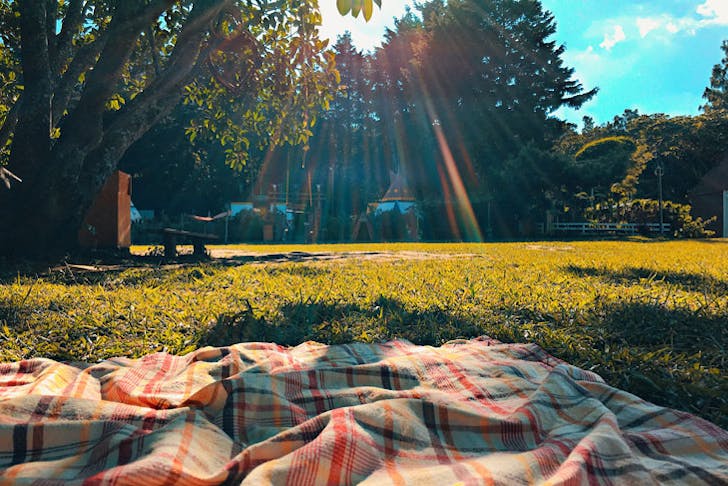A picnic rug set out in a sunny park. 