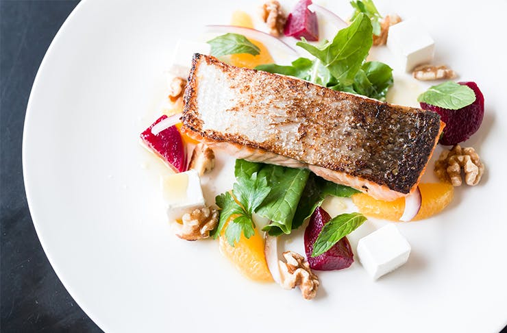 Salmon Dishes Auckland, Auckland Top Salmon Dishes, The Urban List Auckland