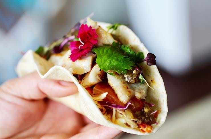 Where to Head For Taco Tuesday In Auckland