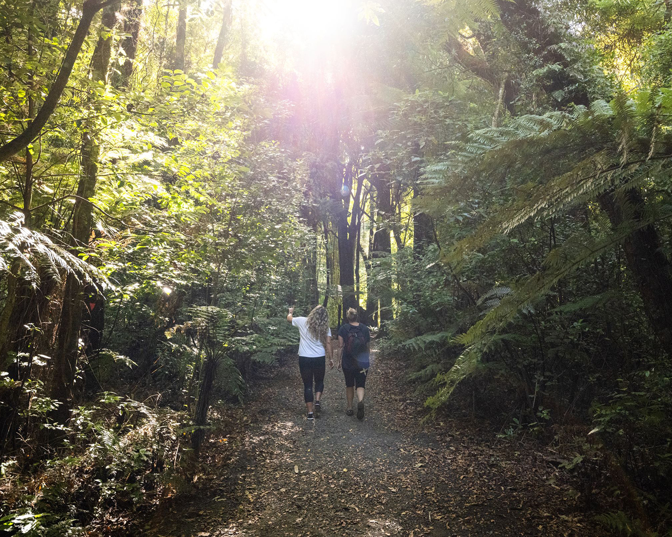 Two people walk through trees at Maungatautari's Sanctuary Mountain.