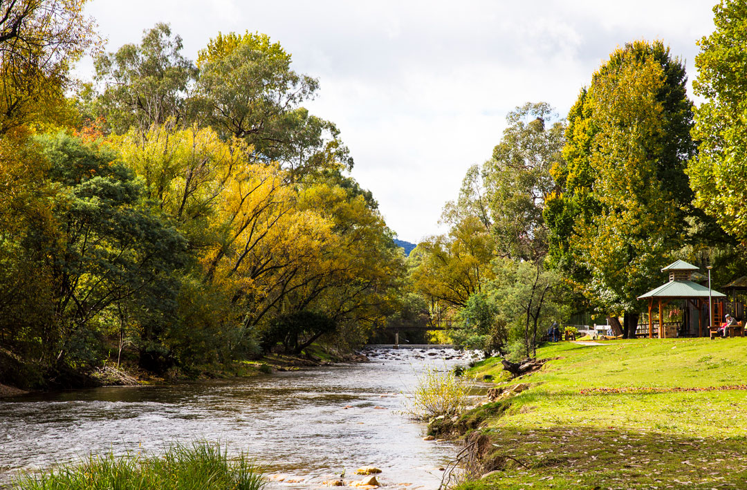 The Ovens River flows through a park surrounded by autumn leaves in Bright, Victoria.