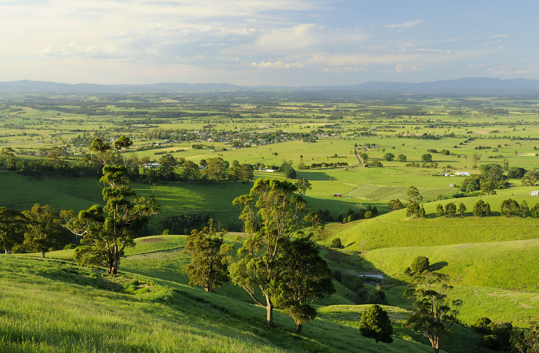 Rolling green hills of the landscape surrounding Jindivick in West Gippsland, Victoria.