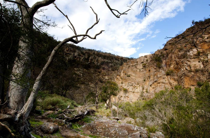 A large gorge that's one of the best walks in Victoria. 