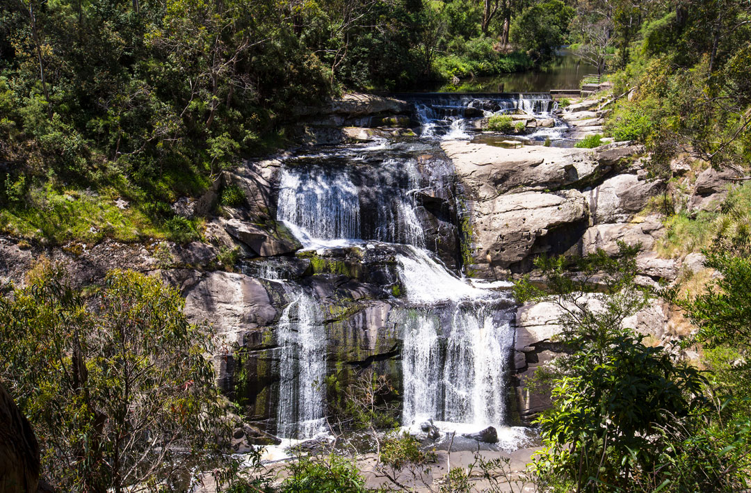 Water cascading over Agnes Falls near the tiny locale in South Gippsland, Victoria.