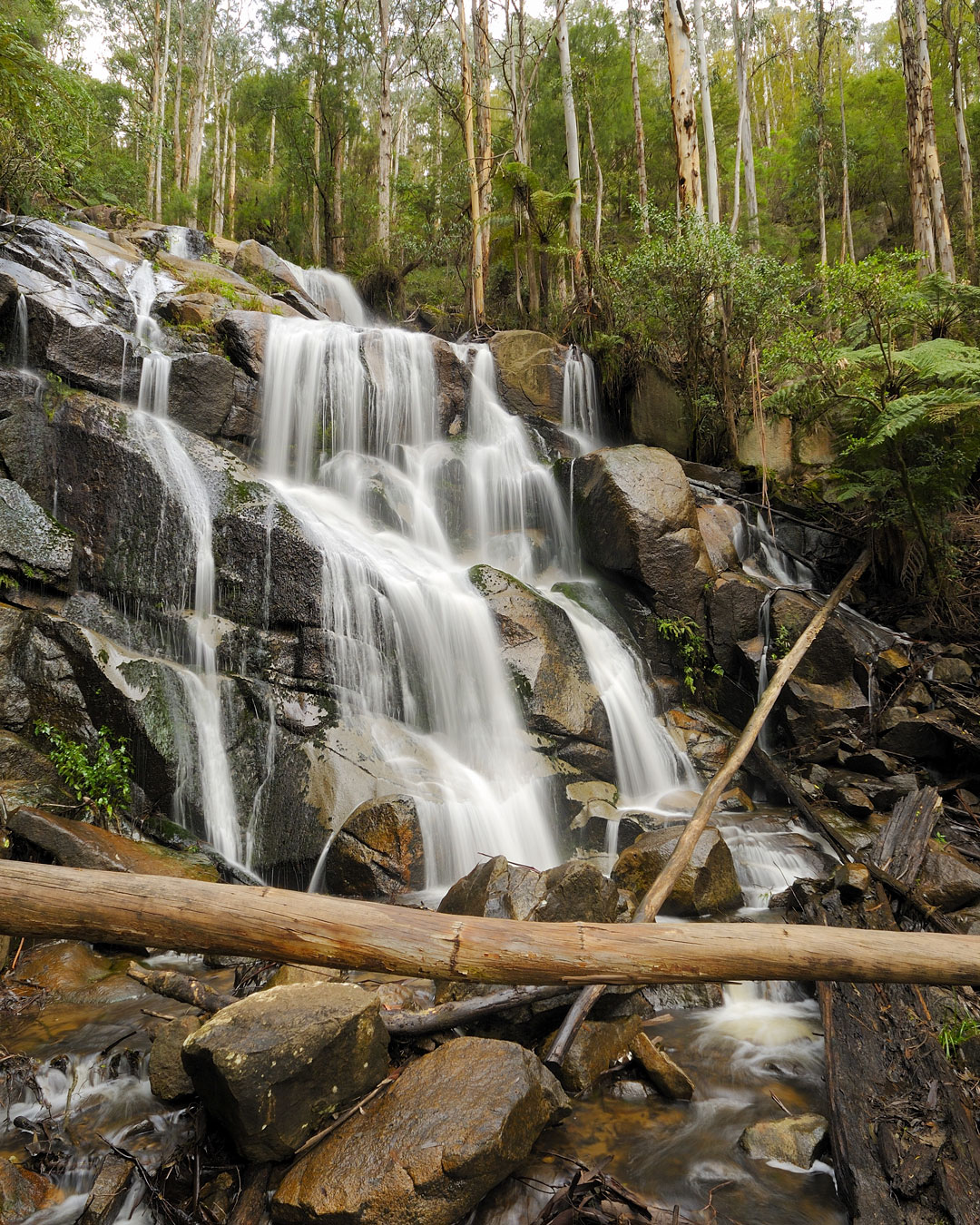 Water cascading over Toorongo Falls in West Gippsland, Victoria.