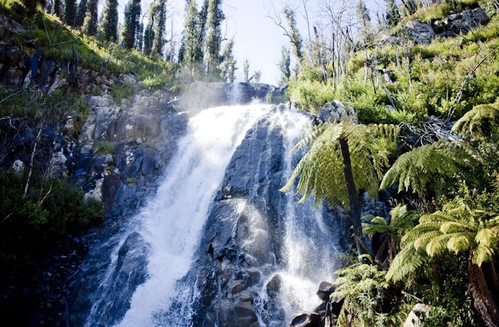 Water cascading over Steavenson falls near Marysville. Trees in the background are recovering from fire damage.