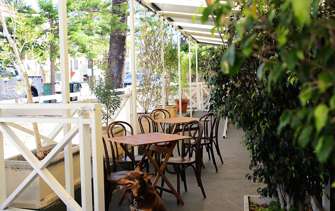 a verandah with plants looking out onto the street