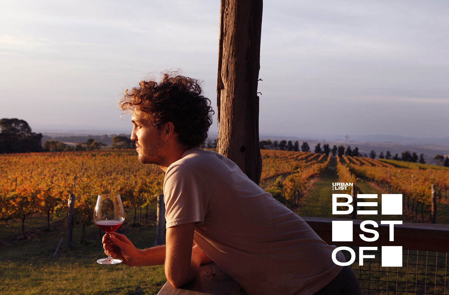 Best Wineries In Orange NSW