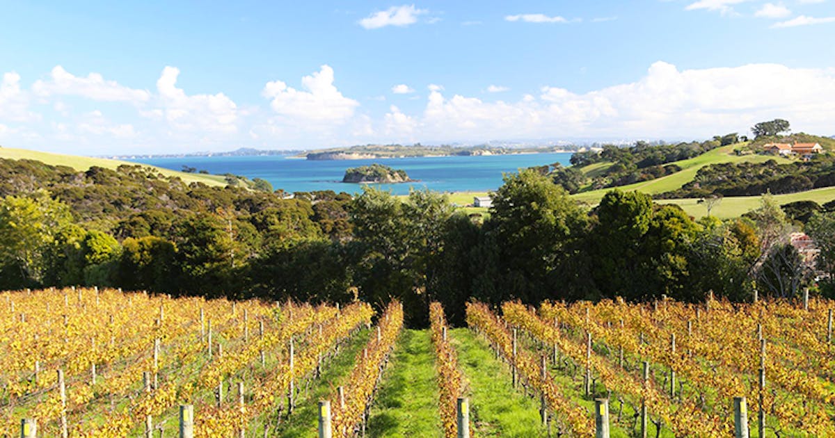 7 Of The Best Wineries In And Around Auckland Urban List Nz