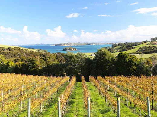 7 Of The Best Wineries In And Around Auckland Urban List Nz