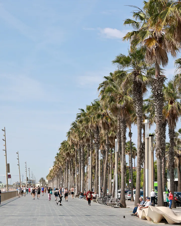 The palm-tree lined promenade at Nova Icaria Beach, Barcelona