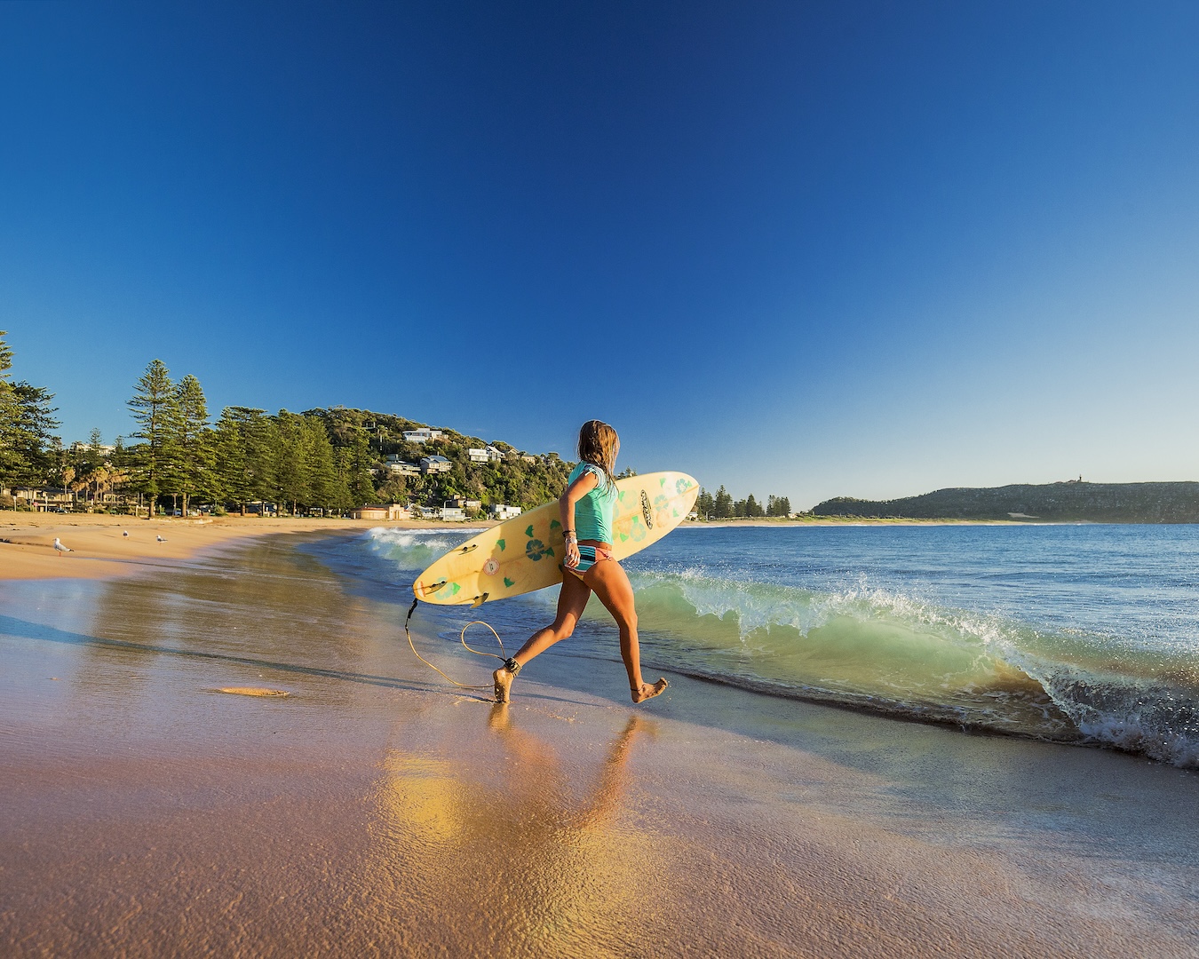 best beaches sydney palm beach