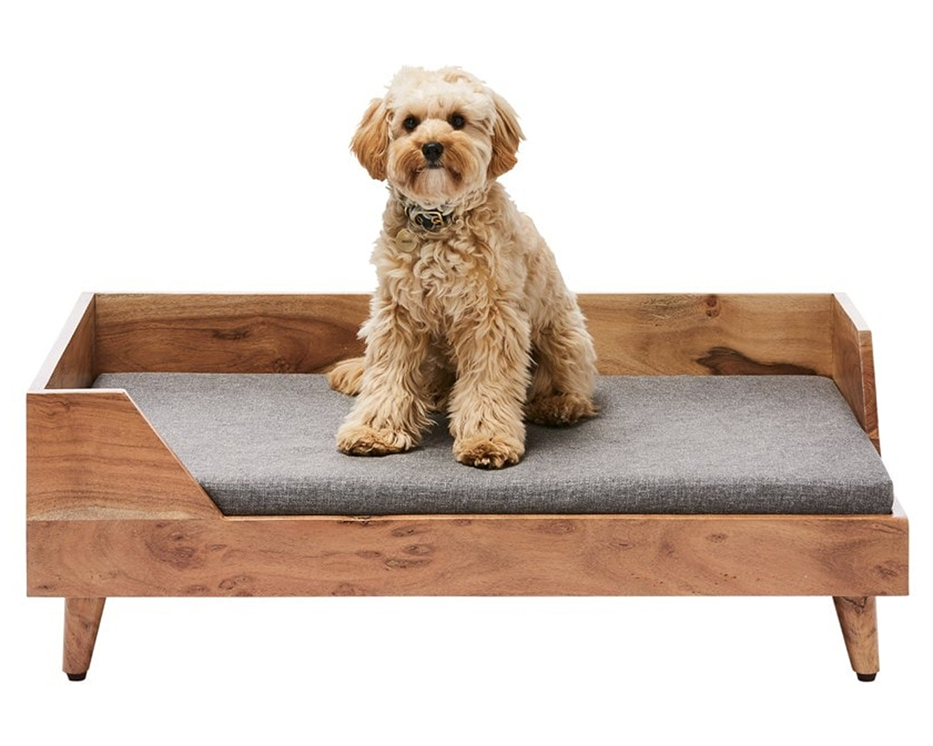 A wee doggie sits proudly on his bougie acacia wood dog bed.