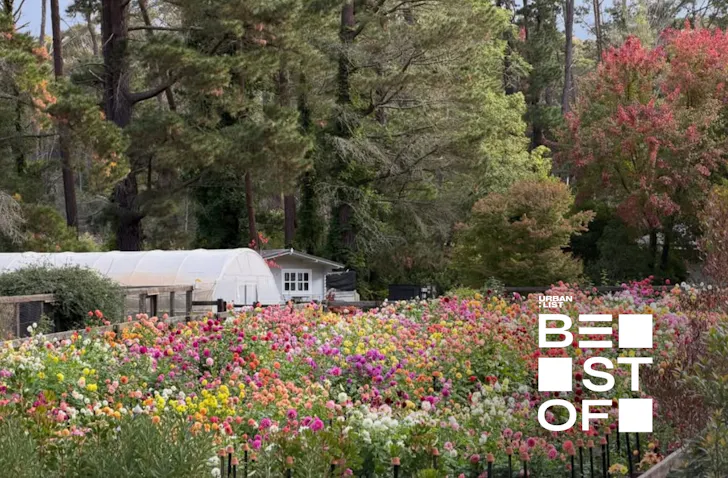 Best things to do in Southern Highlands