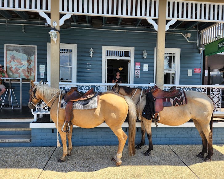 best country pubs nsw star hotel macksville