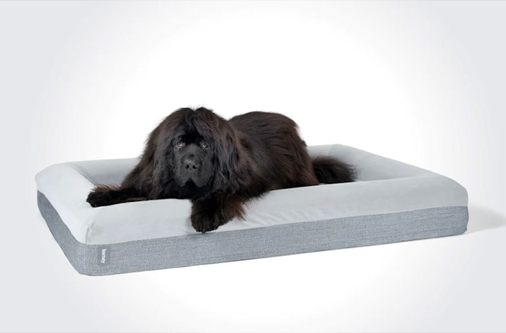 Best Dog Beds Best Custom Dog Bed