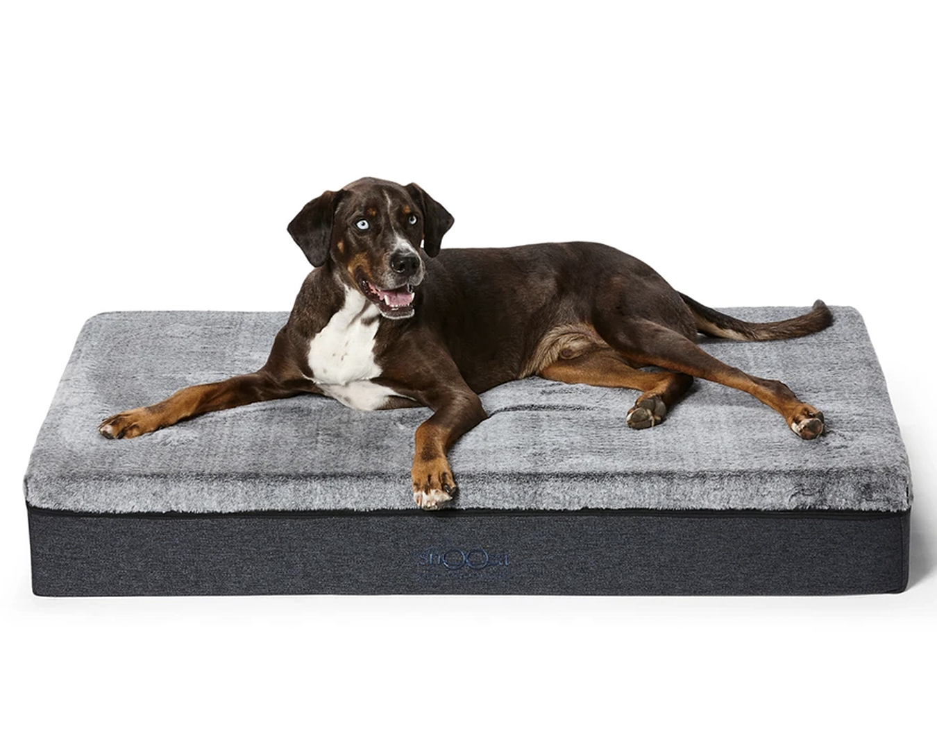 The best firm big dog bed is this one from Snooza, this big dog looks very comfy.
