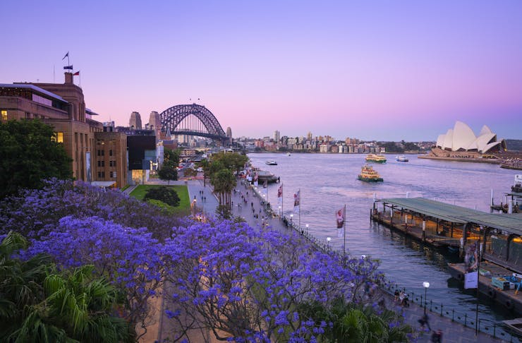 Sydney’s Most Beautiful Jacaranda Walks In 2023 | URBAN LIST SYDNEY