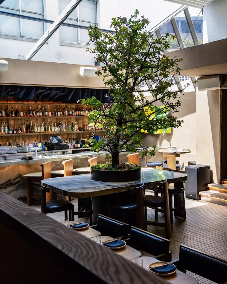 a stylish bar space surrounding a tree at tanuki double bay