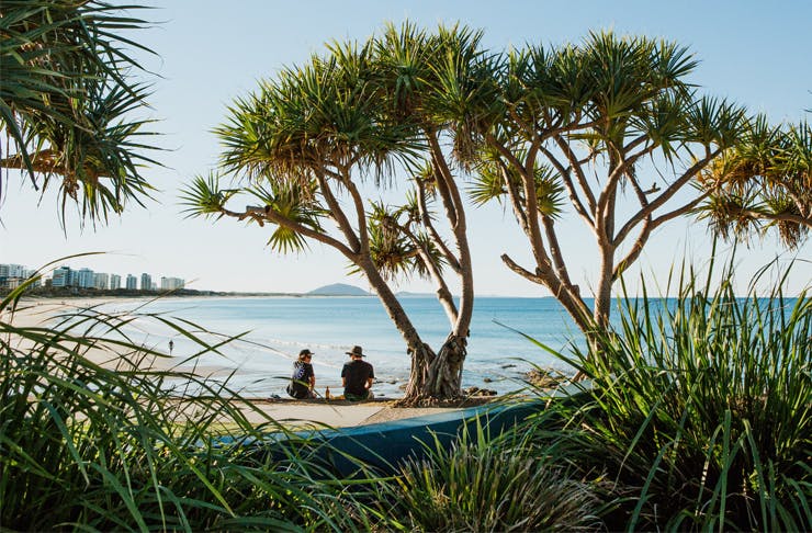 A couple sit under a pandanus tree overlooking the ocean at Alexandra Headland on the Sunshine Coast. 