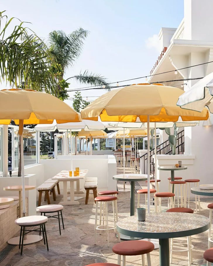 harbord hotel freshwater sydneys best pubs