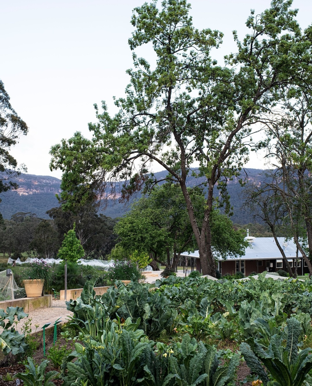 The Best Restaurants In Regional NSW For A Foodie Escape URBAN LIST SYDNEY
