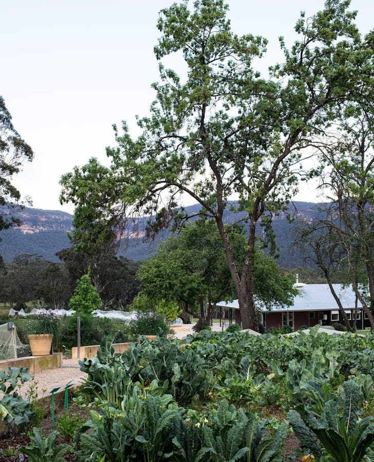 best restaurants regional nsw megalong blue mountains