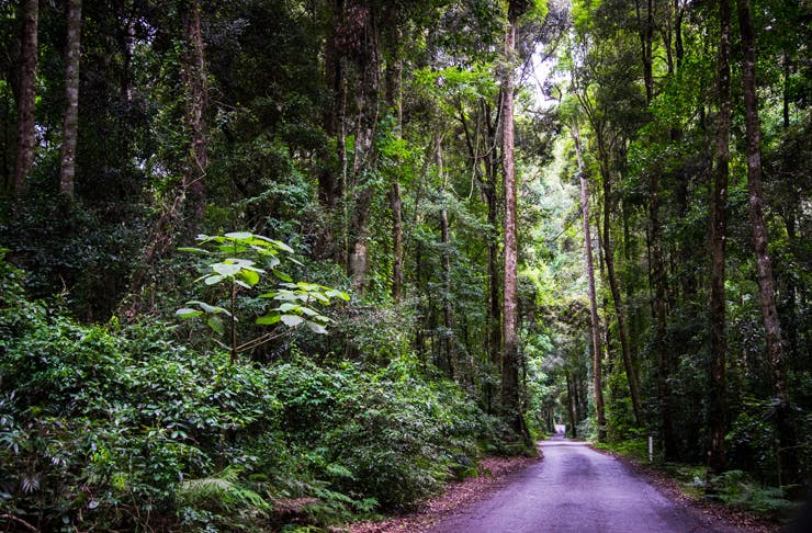 road trips sunshine coast