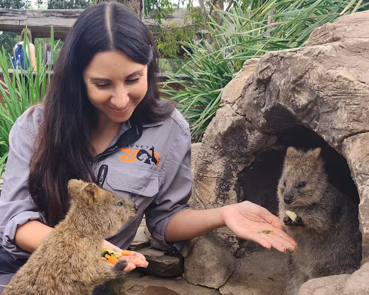 sydney zoo quokka experience best school holiday activities with kids