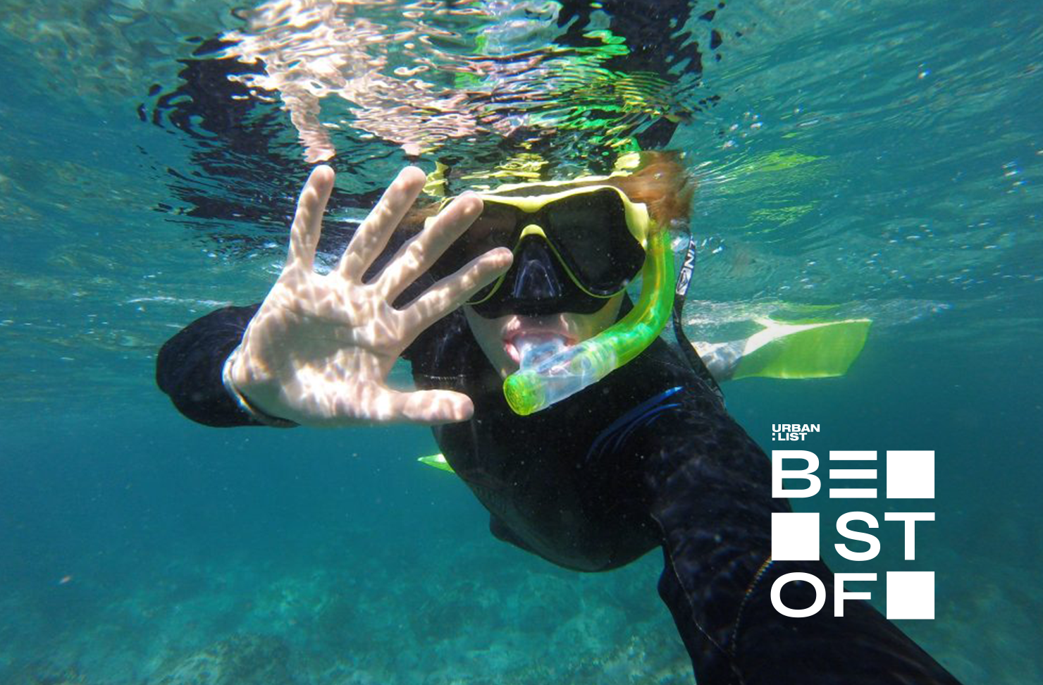 best snorkelling sydney ecotreasures manly
