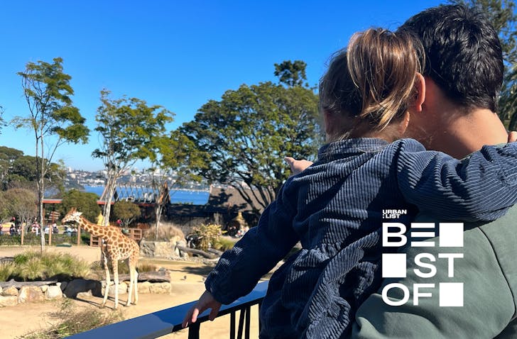 best things to do with kids sydney taronga zoo