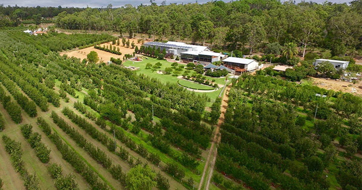 The Best Wineries And Cideries In The Perth Hills Urban List Perth