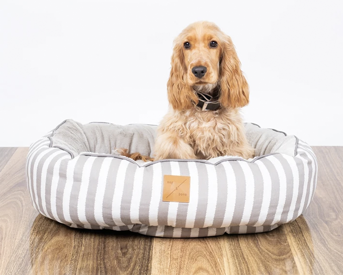 A dog sits happily in his reversible dog bed.