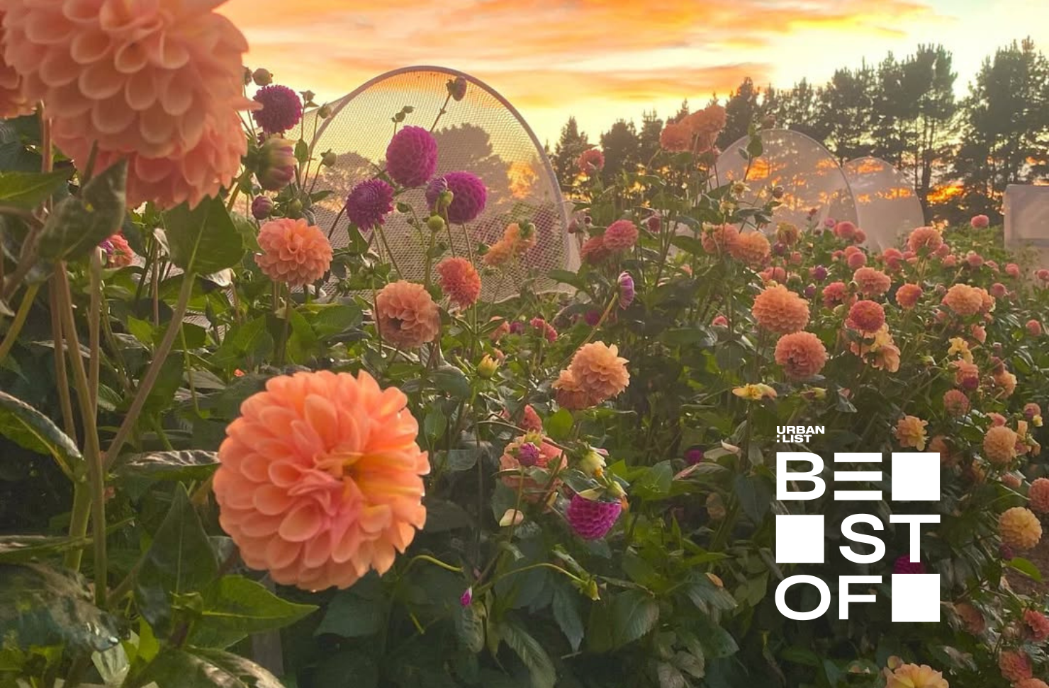 Best day trips from Sydney