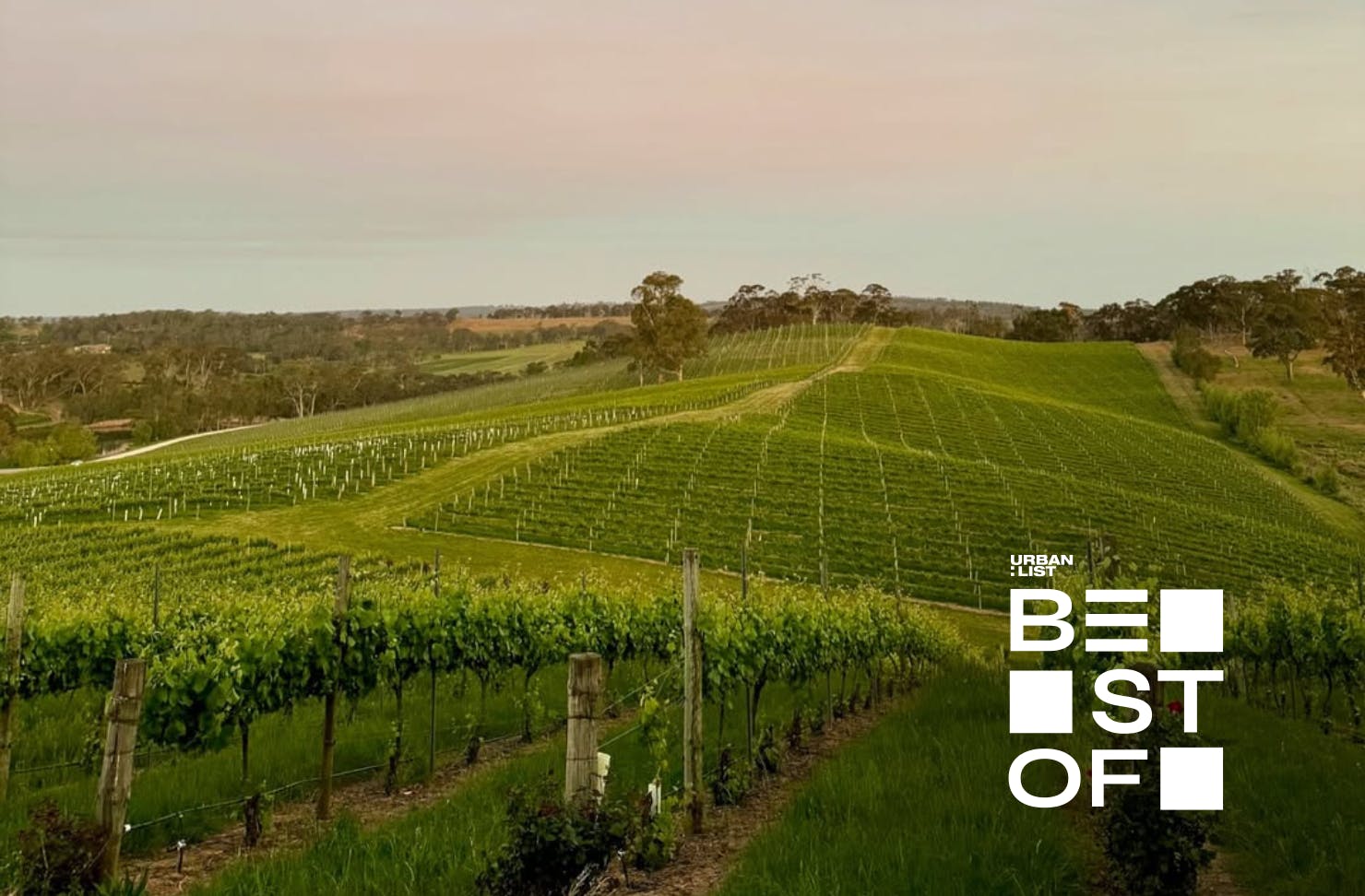 The best vineyards in South Australia