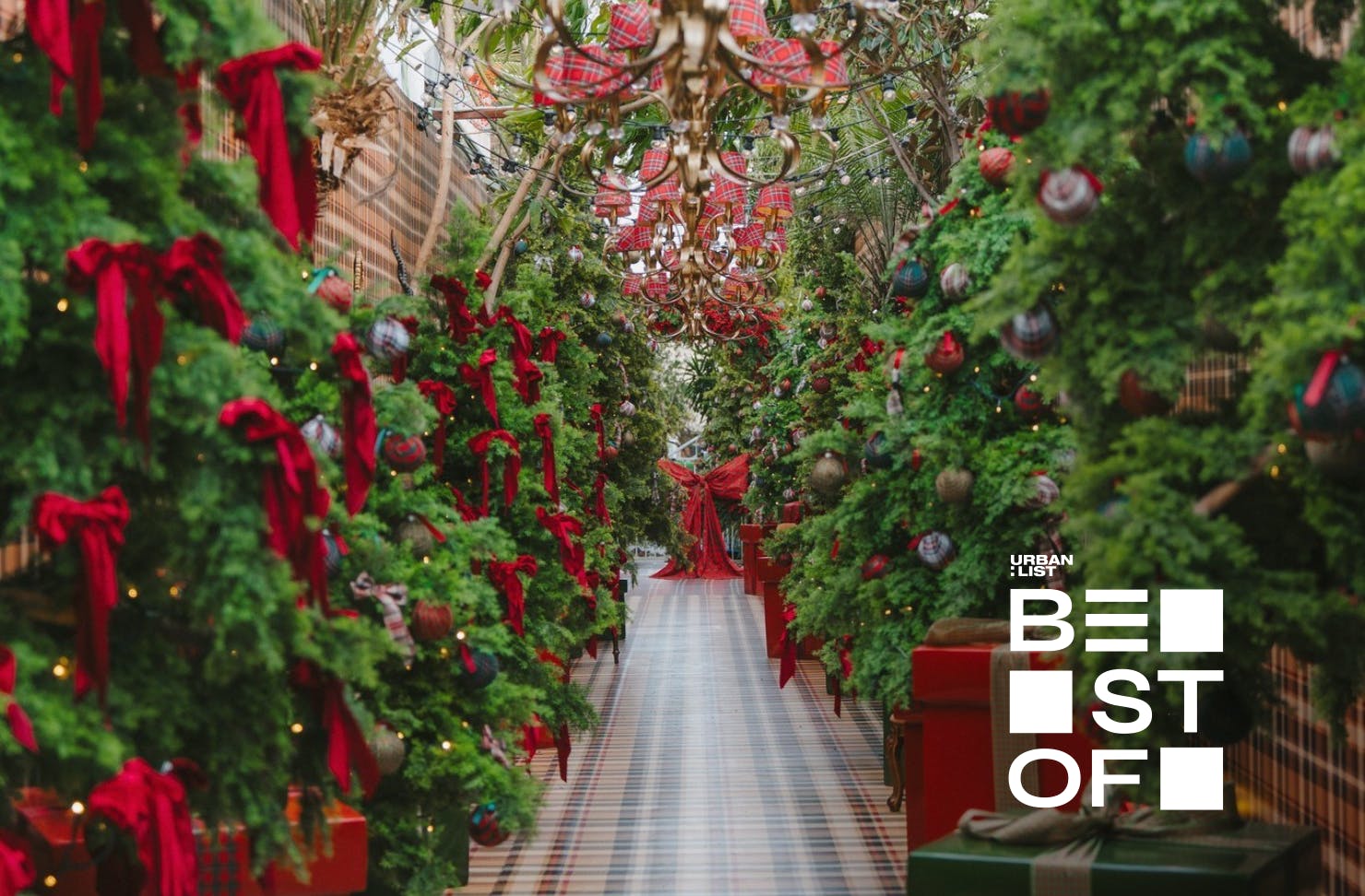 A tree lined tartan hallway at The Ground in Sydney