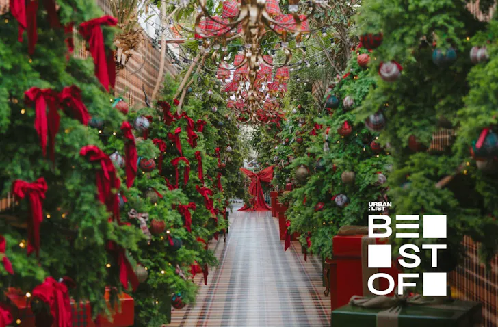 A tree lined tartan hallway at The Ground in Sydney