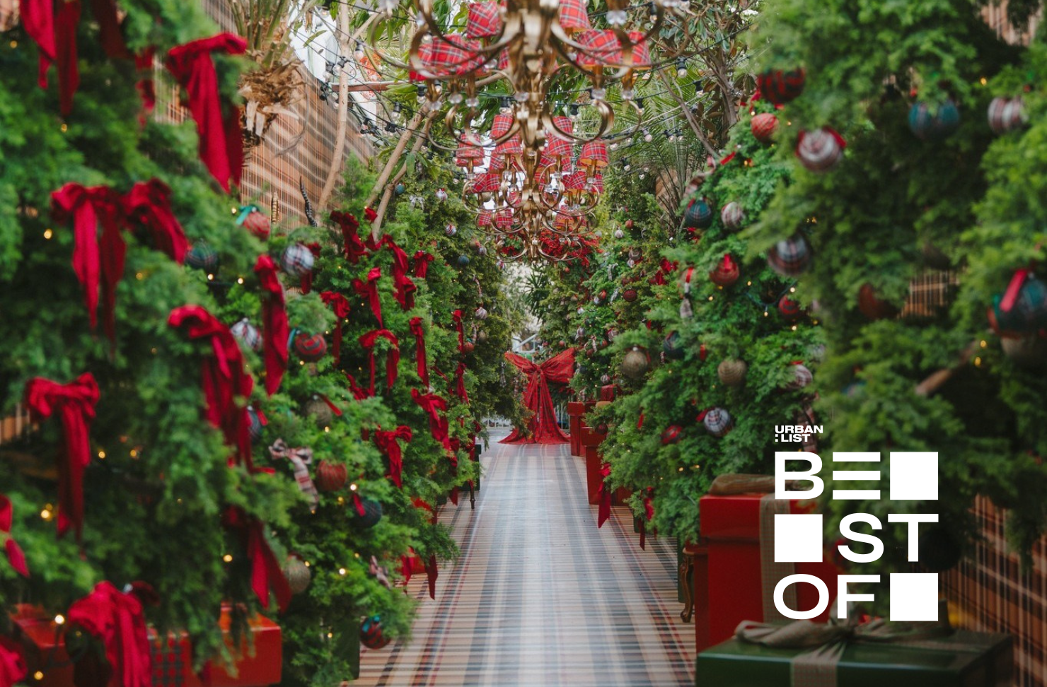 A tree lined tartan hallway at The Ground in Sydney