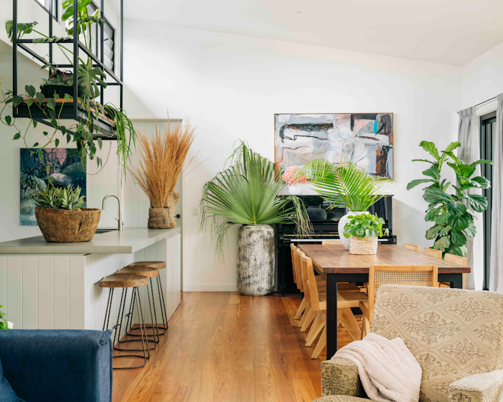 The kitchen filled with plants and home decor at Brunswick Heads Beach And River House