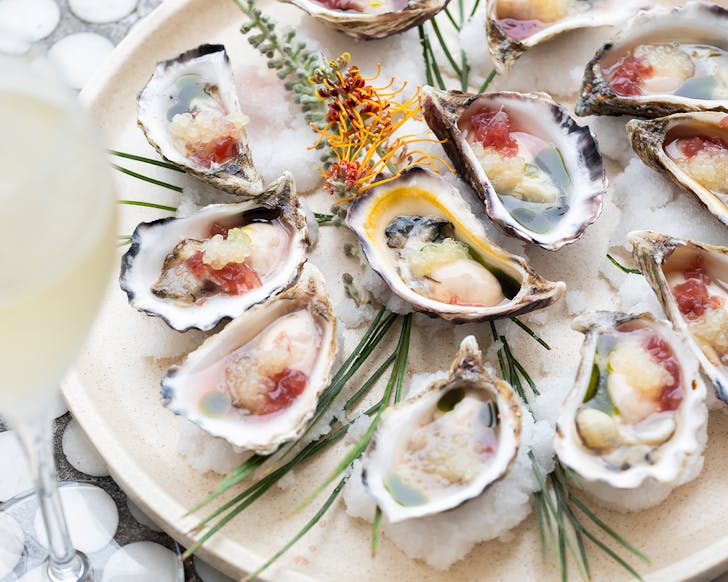 bib and tucker oysters